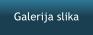 Galerija slika