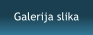 Galerija slika